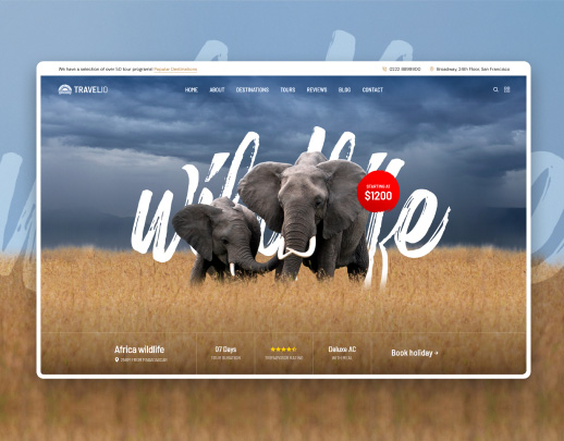 Travel Agency website demo